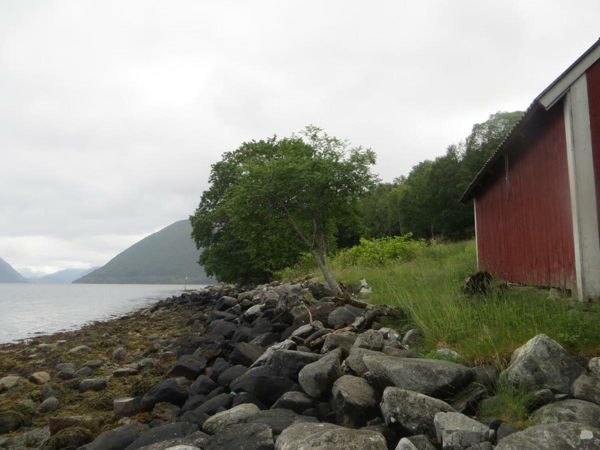 Tiny House With Fjordview! Villa Lauvstad Exteriör bild
